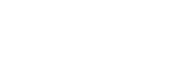 Professional Process Servers